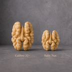 Baby Nut 1 kg – Nueces Mariposa Pequeñas | Solo Nuez